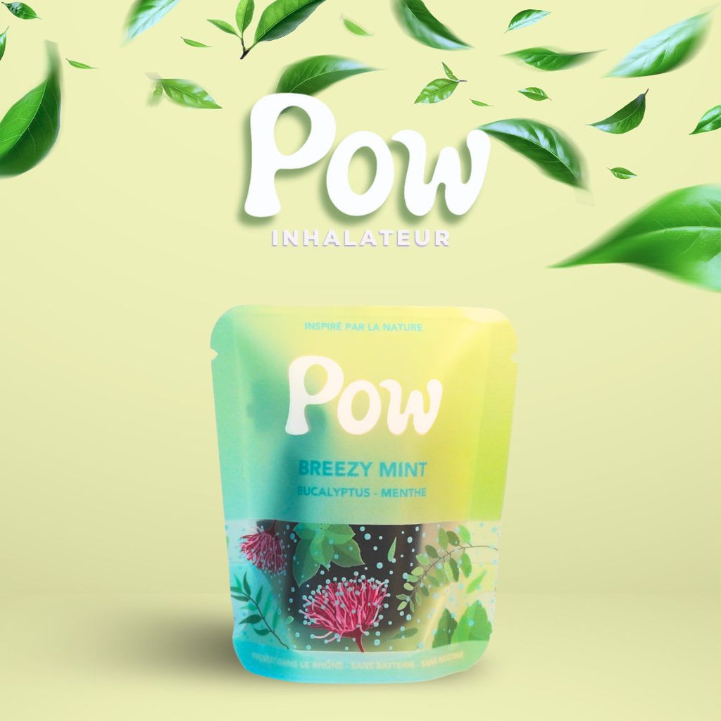 Breezy Mint Inhalateur POW